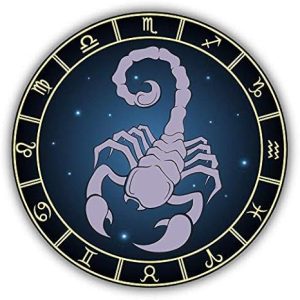 Scorpion Zodiac Sign Vinyl Decal Sticker Waterproof Car Decal Bumper Sticker 5" - Scorpio Sticker for men