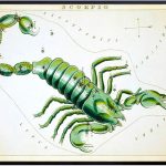 YELLOWBIRD ART & DESIGN Vintage Scorpio Astrological Zodiac Chart - Great Gift and Chic Home Decor - Stars - Ready to Frame (8x10) Photo - Scorpio Canvas for men