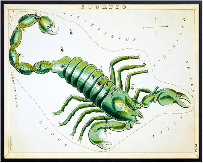 YELLOWBIRD ART & DESIGN Vintage Scorpio Astrological Zodiac Chart - Great Gift and Chic Home Decor - Stars - Ready to Frame (8x10) Photo - Scorpio Canvas for men