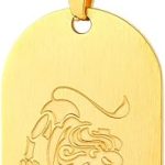 PROSTEEL - Leo Necklace for men