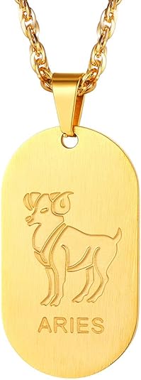 Stainless Steel Zodiac Star Sign Constellation Horoscope Pendant Necklace Idea Men Women - Aries Necklace for men