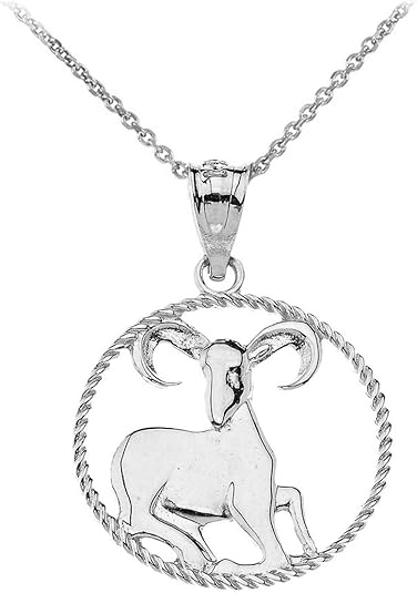 Astrology Jewelry Sterling Silver Zodiac Sign Horoscope Constellation Round Rope Charm Necklace - Aries Necklace for men