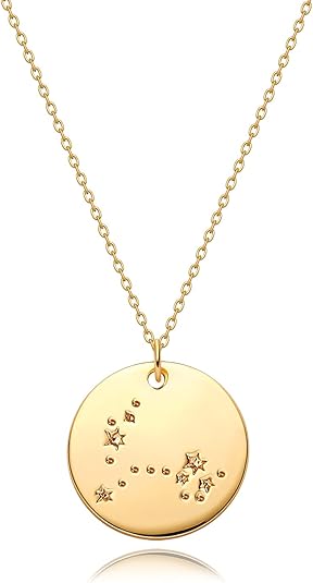 MEVECCO Gold Necklace Coin Disc Zodiac 12 Constellation Star Connected Engraved Horoscope Sign Astrology Pendant 18K Gold Plated Chain Dainty Personalized Simple Jewelry - Pisces for men