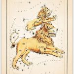 Buzz Unplugged Leo Zodiac Astrology Poster: Unique Astronomy Boho Wall Art Poster for Home, Office, Bedroom & Living Room Decor - Unframed Posters 8x10 - Leo Canvas for men