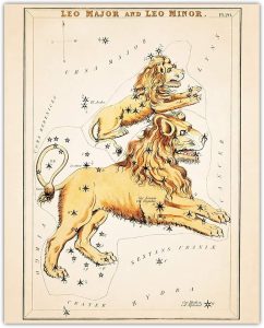 Buzz Unplugged Leo Zodiac Astrology Poster: Unique Astronomy Boho Wall Art Poster for Home, Office, Bedroom & Living Room Decor - Unframed Posters 8x10 - Leo Canvas for men