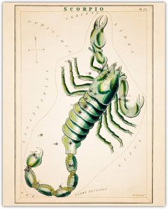 Buzz Unplugged Scorpio Zodiac Astrology Poster: Unique Astronomy Boho Wall Art Poster for Home, Office, Bedroom & Living Room Decor - Unframed Posters 8x10 - Scorpio Canvas for men
