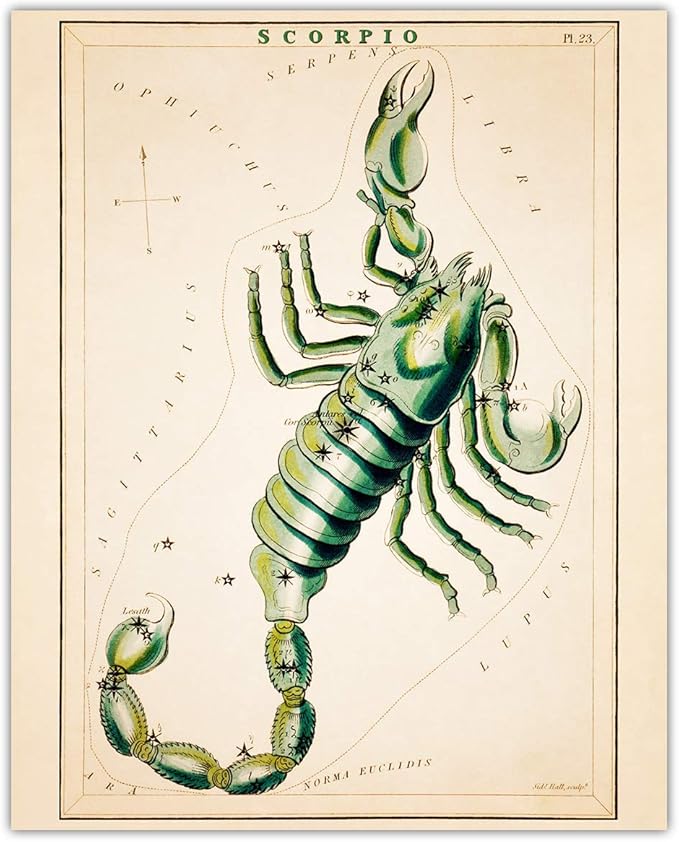 Buzz Unplugged Scorpio Zodiac Astrology Poster: Unique Astronomy Boho Wall Art Poster for Home, Office, Bedroom & Living Room Decor - Unframed Posters 8x10 - Scorpio Canvas for men