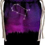 3dRose TDSwhite – Zodiac - Gemini Constellation Night Sky Astrology Symbol Zodiac Horoscope Sign - Wine Bag (wbg_300626_1) - Gemini Canvas for men