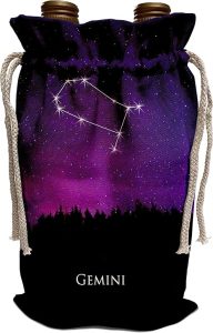 3dRose TDSwhite – Zodiac - Gemini Constellation Night Sky Astrology Symbol Zodiac Horoscope Sign - Wine Bag (wbg_300626_1) - Gemini Canvas for men