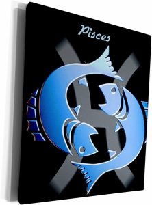 3dRose Museum Grade Canvas Wrap - Pisces Zodiac Sign Zodiac Signs Horoscope - Pisces Canvas for men