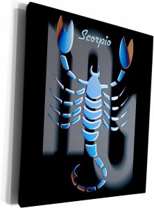 3dRose Museum Grade Canvas Wrap - Scorpio Zodiac Sign Zodiac Signs Horoscope - Scorpio Canvas for men