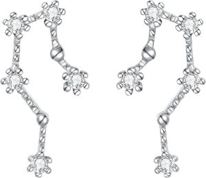 BriLove - Taurus Earrings for men