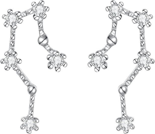 BriLove - Taurus Earrings for men