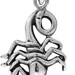 AeraVida Astrology Scorpio Zodiac Horoscope Scorpion.925 Sterling Silver Pendant Necklace | Zodiac Sign Horoscope Scorpion Pendant Necklace | Sterling Silver Scorpio Necklace Jewelry Gifts - Scorpio Products for men