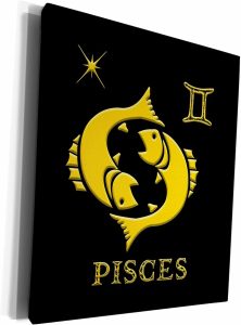 3dRose Museum Grade Canvas Wrap - Pisces Zodiac symbol. Image of fishes, a star and a sign Alexis Design - Zodiac - Pisces Canvas for men