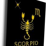 3dRose Museum Grade Canvas Wrap - Scorpio Zodiac symbol. Image of a scorpion, a star and a sign Alexis Design - Zodiac - Scorpio Canvas for men