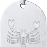 12 Constellations Dog Tag Pendant Necklace for Men Women Stainless Steel/18K Gold Plated Astrology Jewelry Zodiac Charm with Chain(with Gift Box) - Scorpio Accessories for men