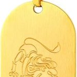 Richsteel - Leo Necklace for men