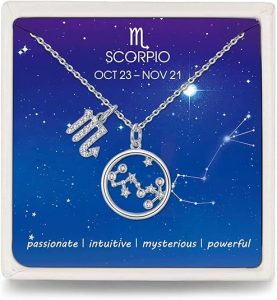 Presentski Zodiac Necklace Sterling Silver 12 Constellation Horoscope Pendant Astrology Star CZ Dainty Necklaces Birthday Jewelry for Women Daughter - Scorpio Accessories for men