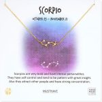 Zodiac 18K Gold Plated CZ Necklace With Message Card, Yellow Gold Color, Anchor Chain, Best Gift Necklace, Size 16 inch + 2 inch Extender, Pendant, Constellation, Gift Card - Scorpio Products for men