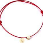 Ailiessy Love Heart Constellation Bracelet for Women Handmade Braided Rope Round Disc Coin Zodiac Bracelet Charm Fashion Red String Friendship Bracelet Jewelry - Scorpio Accessories for men