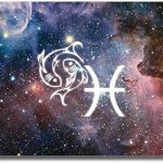 SignMission Pisces Aluminum License Plate | License Plate 12" X 6" Fits Any Car, Truck, SUV, RV, or Trailer | Made in The USA - Pisces for men