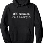 Scorpio Horoscope Gift Women Girls Men Zodiac Sign Astrology Pullover Hoodie - Scorpio Products for men