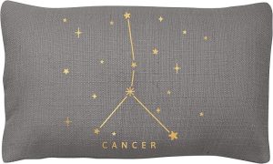 Karma Gifts, Cancer Zodiac Lumbar Pillow - Pisces Pillow for men