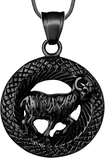 12 Constellation Necklace Zodiac Star Sign Horoscope Pendant 316L Stainless Steel Astrology Birthday Gifts Mens/Women Jewelry - Aries for men