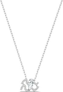 Swarovski - Aquarius Necklace for men