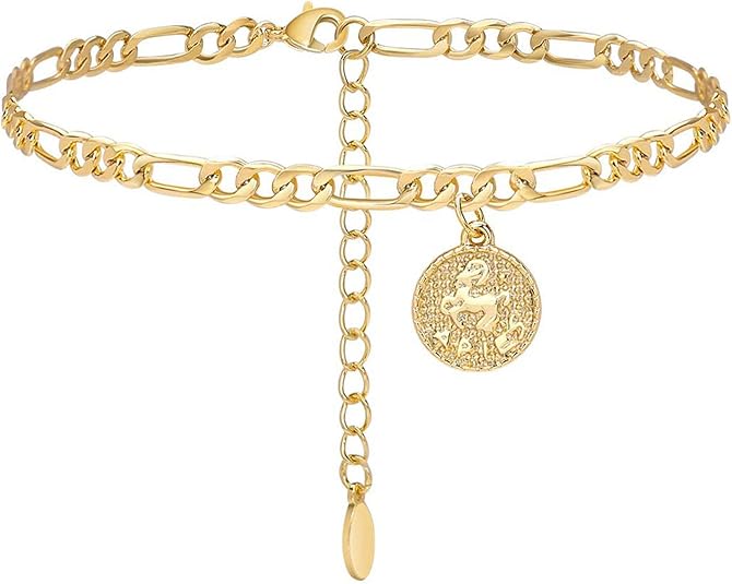 Anklets for Women Dainty Zodiac Constellation Anklet Zodiac Sign Disc Ankle Bracelet 14k Gold-Plated Anklets for Women - Aries for men