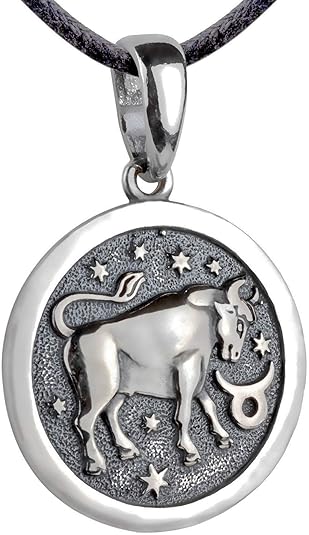 Zodiac Sign Pendant Necklace 925 Sterling Silver Horoscope Medallion Coin Disc Choker Charm Constellation Astrology Jewelry for Men Women - Taurus Products for men