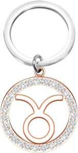 TGBJE Zodiac constellation Keychain Zodiac Sign Gift Zodiac Outline Gift Horoscope Constellation Celestial Zodiac Keychain - Taurus Products for men