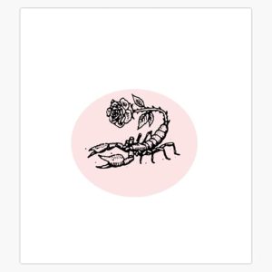 Scorpio Rose Vinyl Waterproof Sticker Decal Car Laptop Wall Window Bumper Sticker 5" - Scorpio Sticker for men