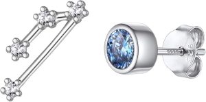 Silvora - Taurus Earrings for men