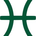 THE BANGLES Pisces Zodiac Signs (Green) (Set of 2) Premium Waterproof Vinyl Decal Stickers for Laptop Phone Accessory Helmet Car Window Bumper Mug Tuber Cup Door Wall Decoration - Pisces Car Accessories for men