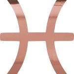 THE BANGLES Pisces Zodiac Signs (Rose Gold) (Set of 2) Premium Waterproof Vinyl Decal Stickers for Laptop Phone Accessory Helmet Car Window Bumper Mug Tuber Cup Door Wall Decoration - Pisces Car Accessories for men