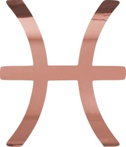 THE BANGLES Pisces Zodiac Signs (Rose Gold) (Set of 2) Premium Waterproof Vinyl Decal Stickers for Laptop Phone Accessory Helmet Car Window Bumper Mug Tuber Cup Door Wall Decoration - Pisces Car Accessories for men