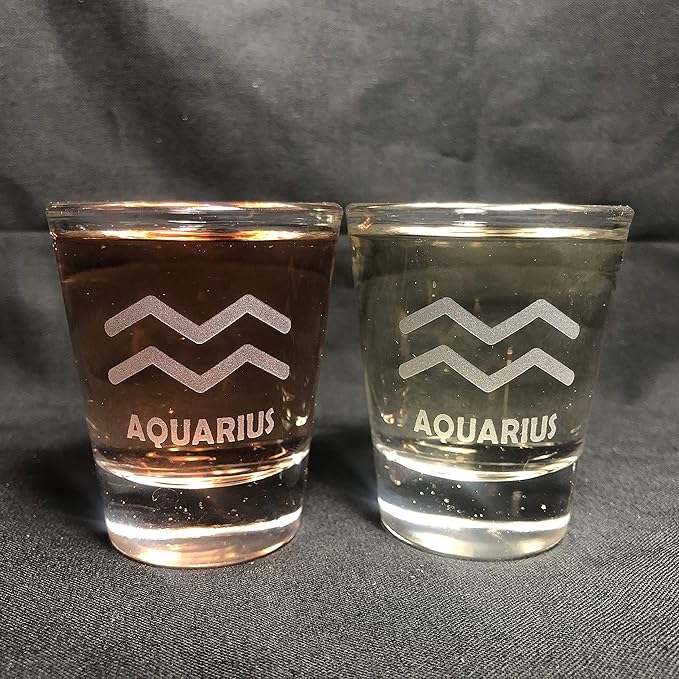 Zodiac Signs Shot Glass set of 2 Aries Leo Cancer Pisces Scorpio Taurus Sagittarius Gemini Virgo Libra Capricorn Aquarius (AQUARIUS) - Aries Mug for men