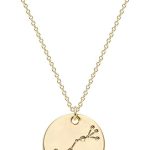 Valloey Rover Women Gold Necklace Coin Disc Celestial Patterned Engraved Pendant 14K Gold Plated Simple Personalized Dainty Chain Jewelry Gift - Scorpio Accessories for men