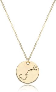 Valloey Rover Women Gold Necklace Coin Disc Celestial Patterned Engraved Pendant 14K Gold Plated Simple Personalized Dainty Chain Jewelry Gift - Scorpio Accessories for men