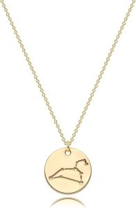 WEARON - Leo Necklace for men