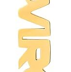 SHINYY - Virgo Necklace for men