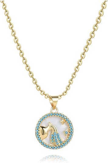 MiniJewelry - Aquarius Necklace for men