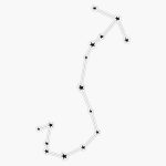 Magnet Constellation | Scorpio Magnet Bumper Sticker Car Magnet Flexible Reuseable Magnetic Vinyl 5" - Scorpio Sticker for men