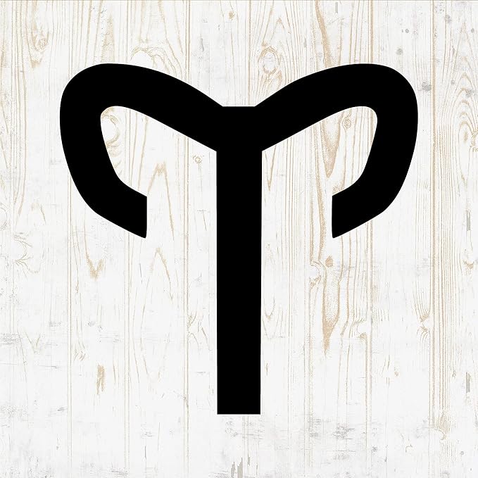 6 in Zodiac Aries Sticker - Sign Astrology Virgo Taurus Scorpio Gemini Cancer - Vinyl Decal for Wall Car Home Bike Bottle Phone Laptop DWSV1393 - Aries Sticker for men