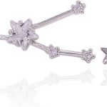 Choice by Choi - Taurus Earrings for men