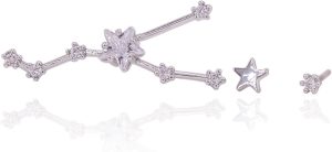 Choice by Choi - Taurus Earrings for men