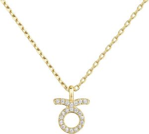 PAVOI 14K Gold Plated Cubic Zirconia Astrology Necklaces for Women - Zodiac Pendant Jewelry Gifts - Zodiac Sign Pendant Necklaces - Taurus Products for men