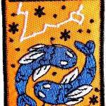 Signs of The Zodiac Pisces Iron On Patch, Embroidered Sew On Patches Badge Emblem for Hats Schoolbag T-Shirt Clothes - Pisces for men